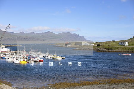 律师团队背景 律师团队背景