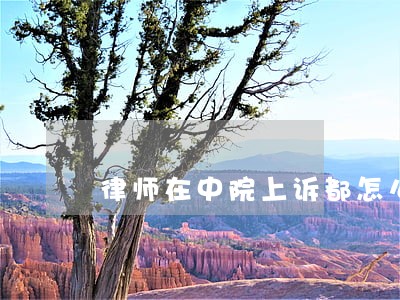 律师在中院上诉都怎么个程序