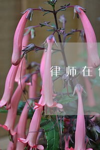 律师在什么情况下应拒绝代理 律师在什么情况下应拒绝代理