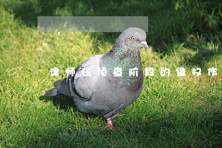 律师在侦查阶段的维权作用