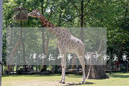 律师在刑事一审中的主要工作 律师在刑事一审中的主要工作