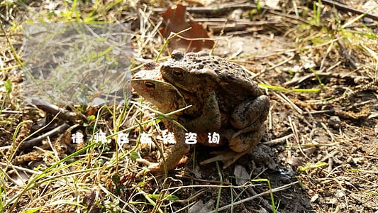 律师在在线咨询 律师在在线咨询