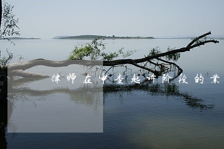 律师在审查起诉阶段的业务探讨 律师在审查起诉阶段的业务探讨