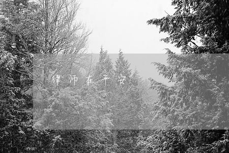 律师在平安 律师在平安