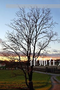 律师在开庭前几天才发现有疏漏 律师在开庭前几天才发现有疏漏