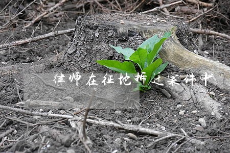 律师在征地拆迁案件中 律师在征地拆迁案件中
