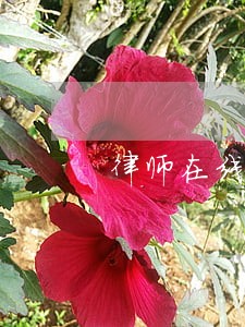 律师在线咨询电话免费 律师在线咨询电话免费