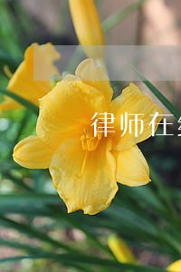 律师在线法律咨询电话 律师在线法律咨询电话