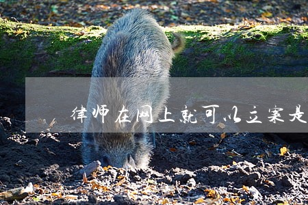 律师在网上就可以立案是真的吗 律师在网上就可以立案是真的吗