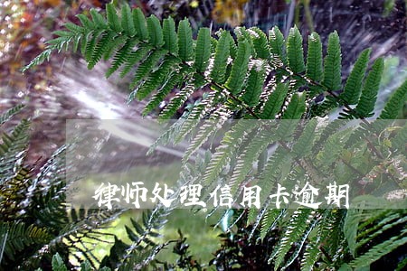 律师处理信用卡逾期 律师处理信用卡逾期