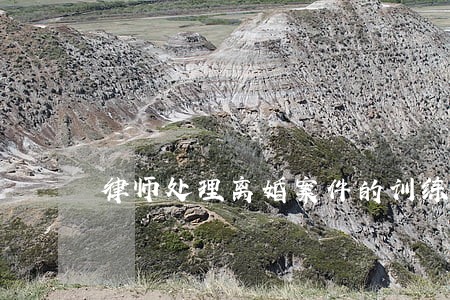 律师处理离婚案件的训练心得 律师处理离婚案件的训练心得