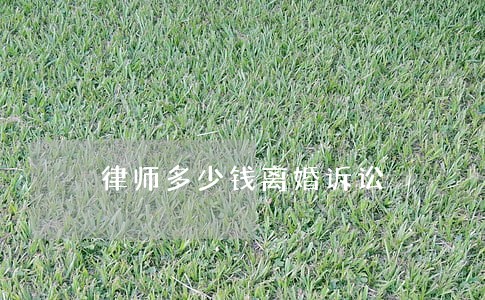 律师多少钱离婚诉讼