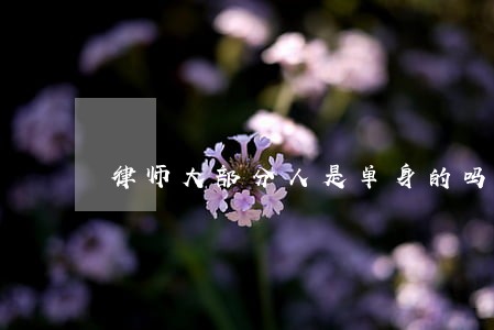 律师大部分人是单身的吗 律师大部分人是单身的吗