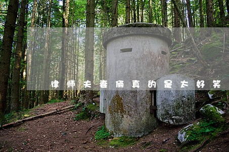 律师夫妻俩真的是太好笑了 律师夫妻俩真的是太好笑了