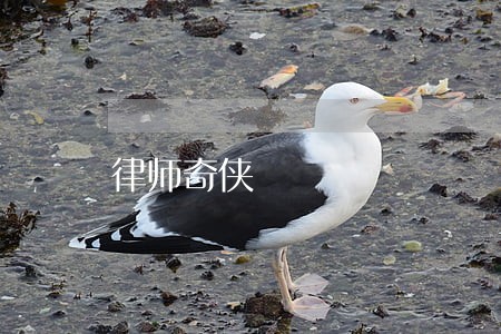 律师奇侠 律师奇侠
