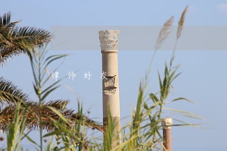 律师好友