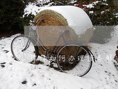 律师如何办理债务解决 律师如何办理债务解决