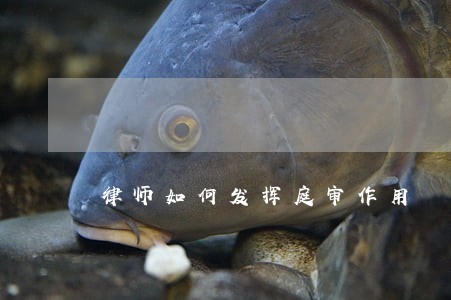 律师如何发挥庭审作用 律师如何发挥庭审作用