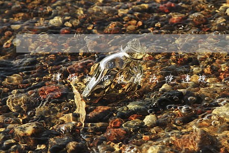 律师如何投诉法院违规 律师如何投诉法院违规