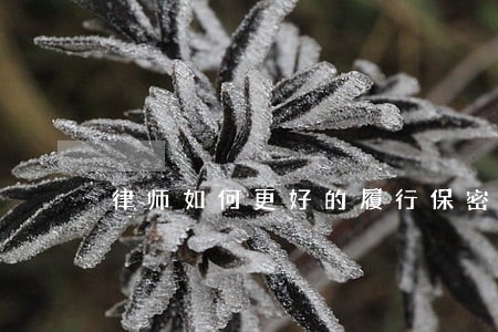 律师如何更好的履行保密义务 律师如何更好的履行保密义务