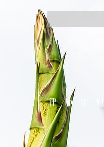 律师如何有效会见 律师如何有效会见