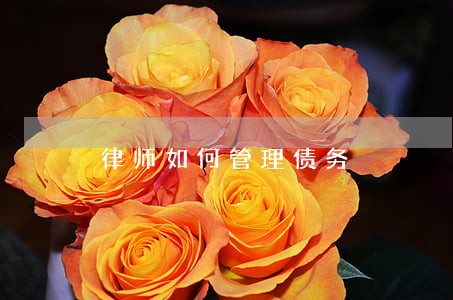 律师如何管理债务 律师如何管理债务