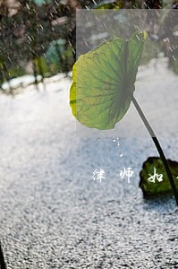 律师如何通过手机查个人信息 律师如何通过手机查个人信息