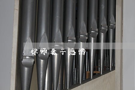 律师妻子感悟