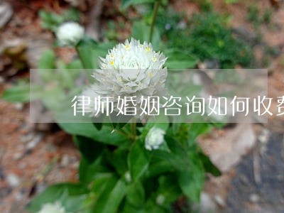 律师婚姻咨询如何收费 律师婚姻咨询如何收费