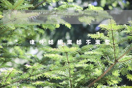 律师婚姻离婚不离家 律师婚姻离婚不离家