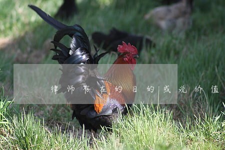 律师存在的目的或说价值是什么 律师存在的目的或说价值是什么