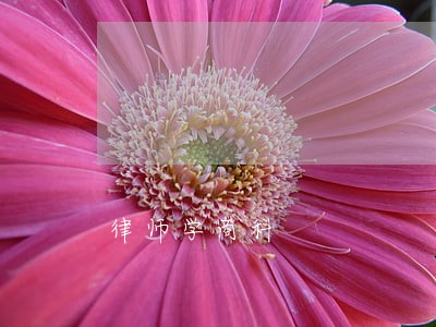 律师学商科 律师学商科