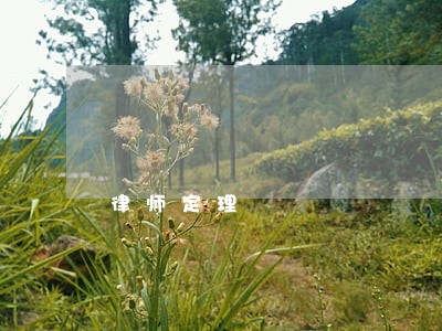 律师定理 律师定理