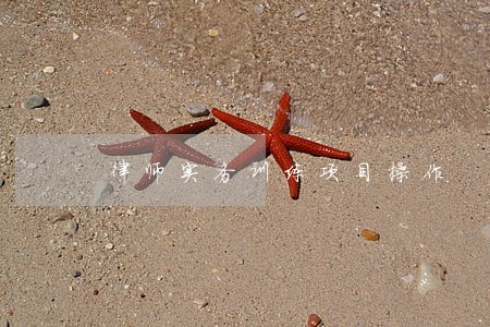 律师实务训练项目操作 律师实务训练项目操作