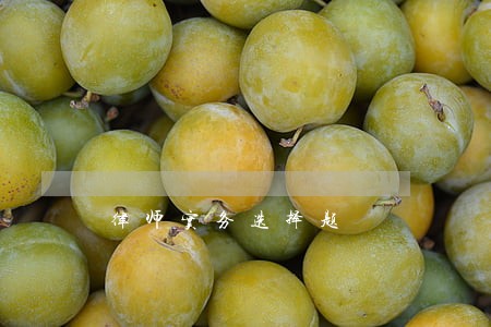 律师实务选择题 律师实务选择题