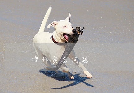 律师实务问题 律师实务问题