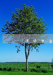 律师审查合同要掌握哪项核心技能 律师审查合同要掌握哪项核心技能