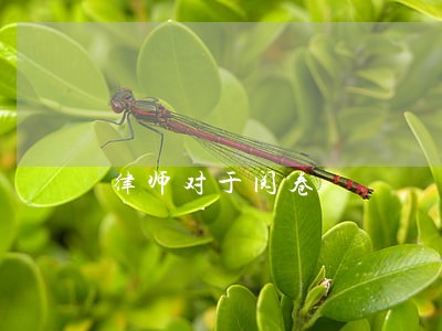 律师对于阅卷 律师对于阅卷