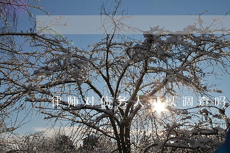 律师对债务人可以调查吗 律师对债务人可以调查吗