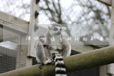 律师对债务纠纷的职责 律师对债务纠纷的职责