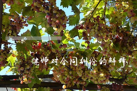 律师对合同纠纷的解释 律师对合同纠纷的解释