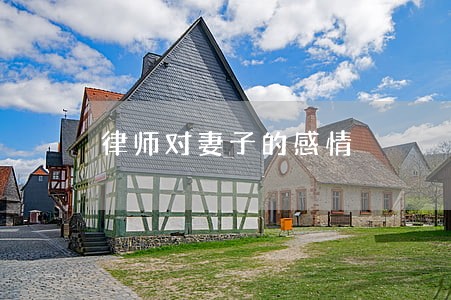 律师对妻子的感情 律师对妻子的感情