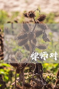 律师对房地产估值的看法 律师对房地产估值的看法