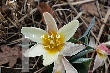 律师导向牌 律师导向牌