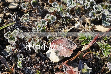 律师小故事 律师小故事