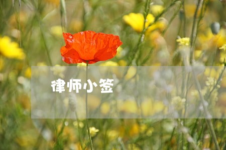 律师小签 律师小签