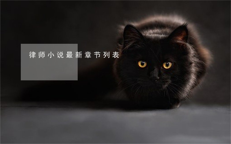 律师小说最新章节列表 律师小说最新章节列表