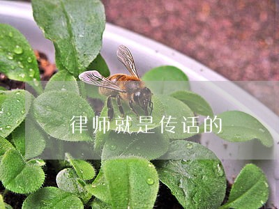 律师就是传话的 律师就是传话的