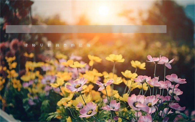 律师尽职调查的范围 律师尽职调查的范围
