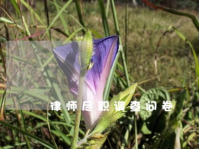 律师尽职调查问卷 律师尽职调查问卷